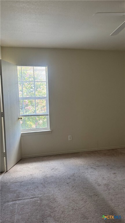 3709 Malibu Ln in Killeen, TX - Building Photo - Building Photo