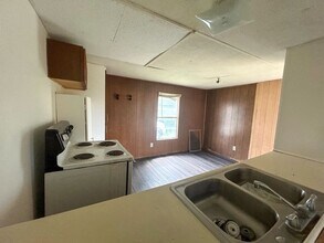441 Tschoepe Rd in Seguin, TX - Building Photo - Building Photo