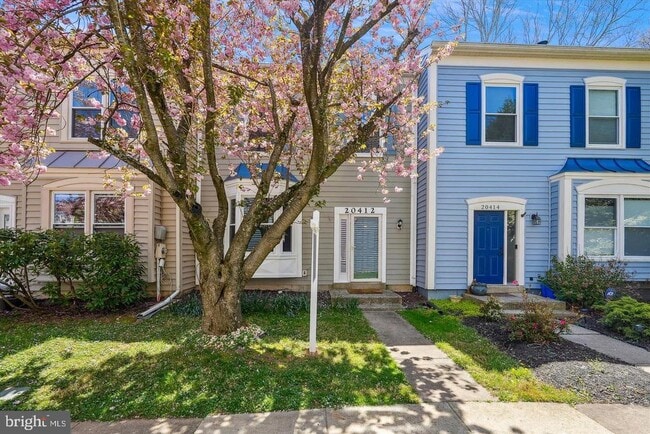 property at 20412 Sunbright Ln