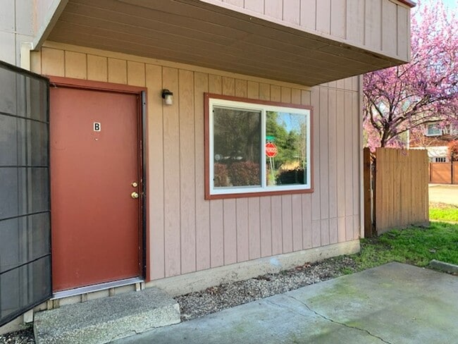 351 E 6th Ave in Chico, CA - Building Photo - Building Photo