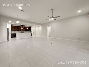 13413 Palmera Vista Dr in Riverview, FL - Building Photo - Building Photo