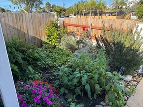 3427 Clairemont Mesa Blvd in San Diego, CA - Foto de edificio - Building Photo