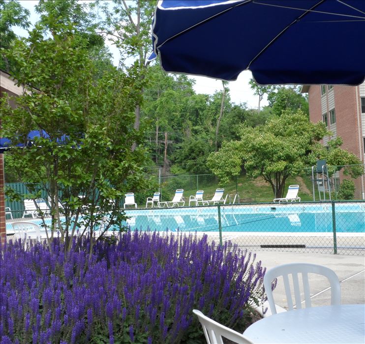 Rock Creek Woods Apartments in Rockville, MD