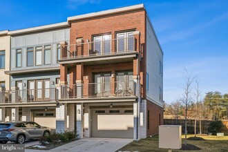 20061 Old Line Terrace in Ashburn, VA - Building Photo - Building Photo