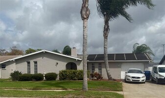 8135 Brown Pelican Ave in New Port Richey, FL - Building Photo