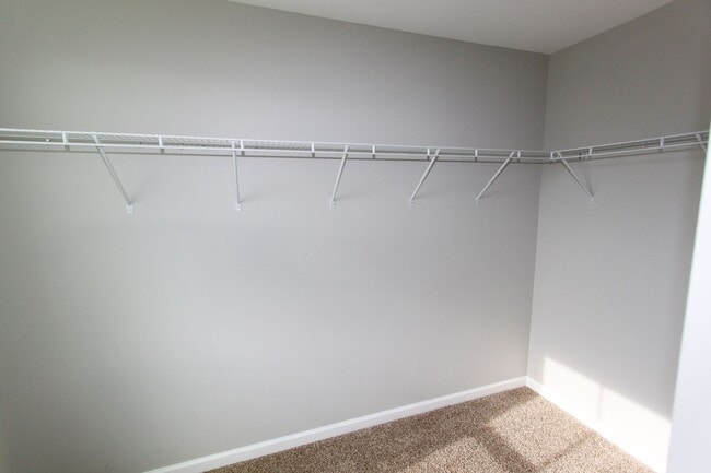 123 Singleton Way in Martinsburg, WV - Building Photo - Building Photo