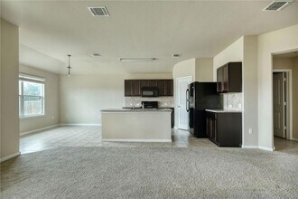 219 Screech Owl Dr in Kyle, TX - Building Photo - Building Photo