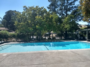 1930 Camino Verde in Walnut Creek, CA - Building Photo - Building Photo