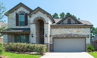 246 Crest Sights Dr in Montgomery, TX - Building Photo