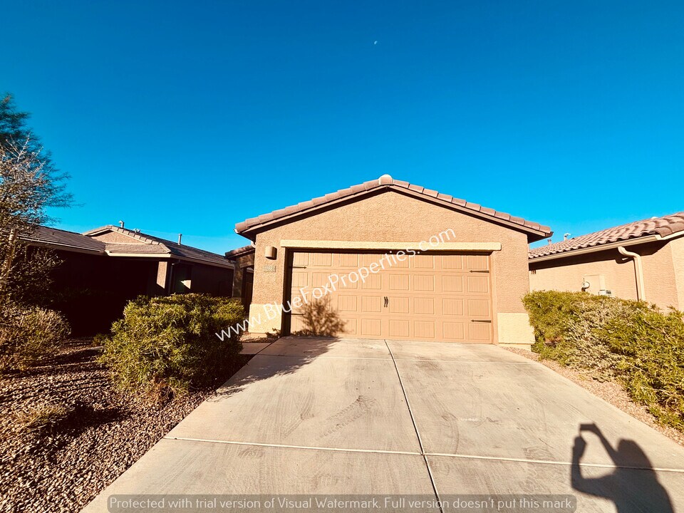 12867 N Peony Dr in Marana, AZ - Building Photo