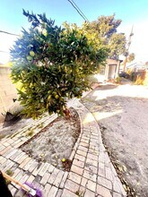 2117 E 112th St in Los Angeles, CA - Building Photo - Building Photo