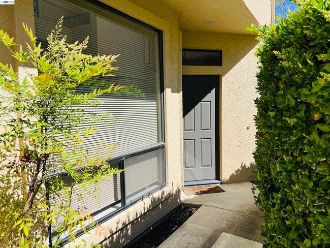 3089 Lakemont Dr in San Ramon, CA - Building Photo - Building Photo