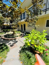 1717 park in Houston, TX - Building Photo - Building Photo
