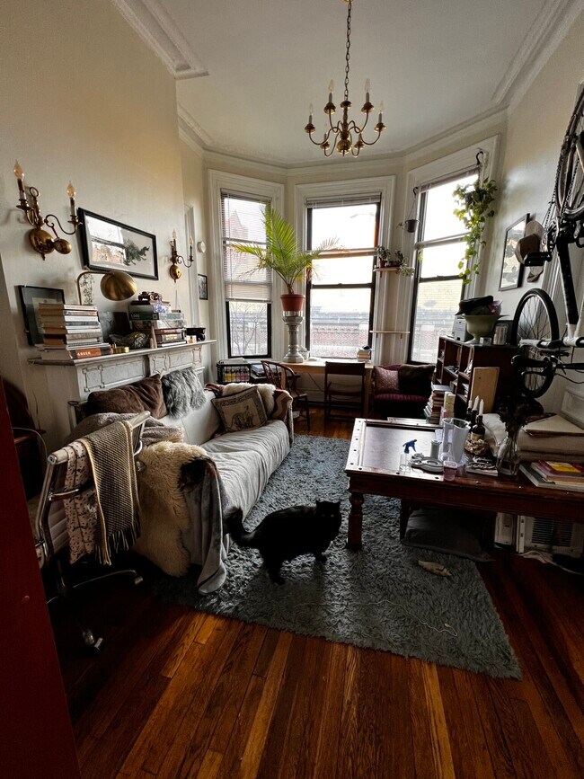 242 Shawmut Ave, Unit 31 in Boston, MA - Building Photo - Building Photo