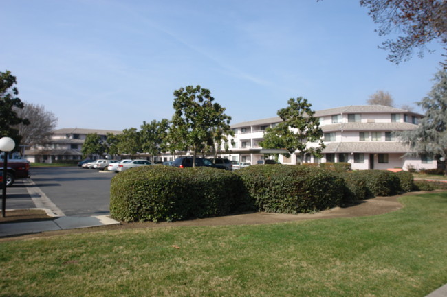 Walnut Park Apartment in Visalia, CA - Building Photo - Building Photo