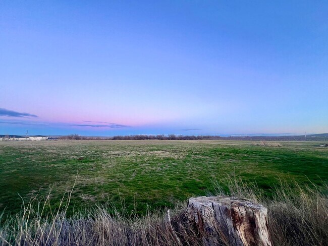 49125 S Sloan Ct in Kennewick, WA - Building Photo - Building Photo