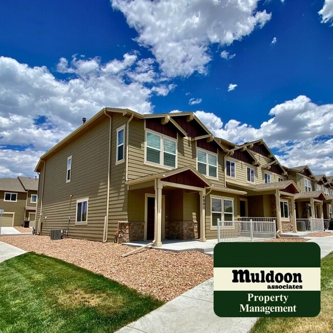 4005 Tiberias Pt in Colorado Springs, CO - Building Photo - Building Photo