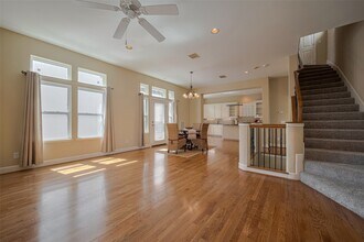 2121 Harold St in Houston, TX - Building Photo - Building Photo