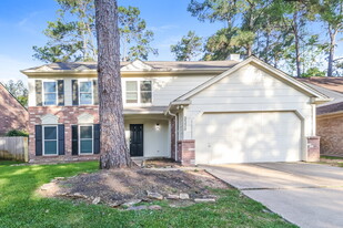 9330 Wandsworth Dr in Spring, TX - Building Photo