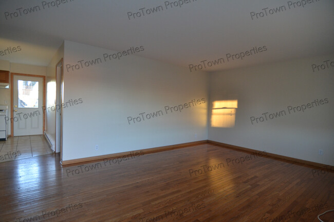 255 W Elm St, Unit #3 in Coal City, IL - Building Photo - Building Photo