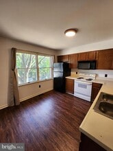 2975 Sorrell Ct in Winchester, VA - Building Photo - Building Photo