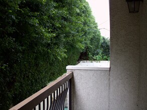 1520 Camden Ave in Los Angeles, CA - Building Photo - Building Photo