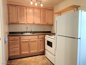 149 Summer St in Amherst, MA - Building Photo - Building Photo