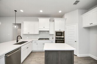 30934 Evening Skye Dr in Fulshear, TX - Building Photo - Building Photo