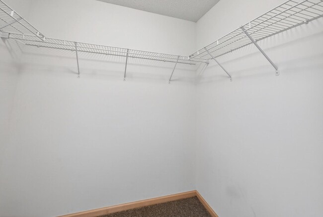 12210 Urbank St NE in Blaine, MN - Building Photo - Building Photo