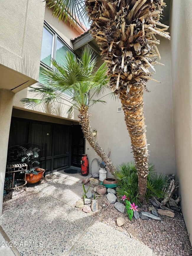 5661 N 79th St in Scottsdale, AZ - Building Photo - Building Photo
