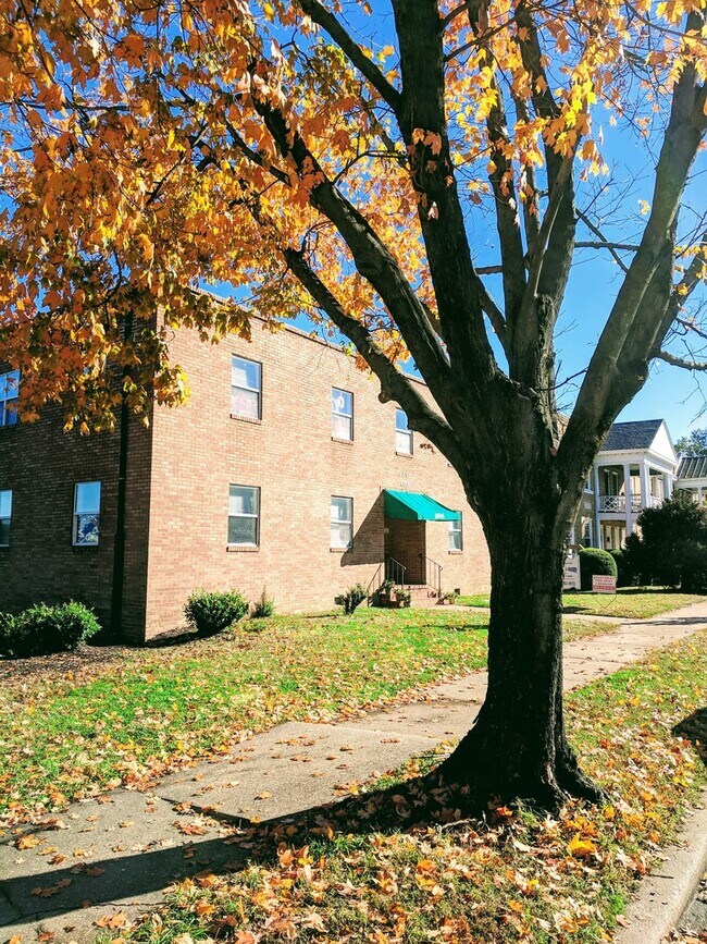 3514 Park Ave. in Richmond, VA - Building Photo - Building Photo