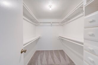 42 N Timber Top Dr in Spring, TX - Building Photo - Building Photo