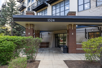 University Village Lofts in Chicago, IL - Building Photo - Building Photo