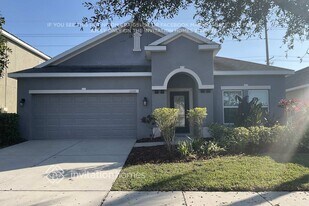 12128 Rambling Stream Dr in Riverview, FL - Building Photo