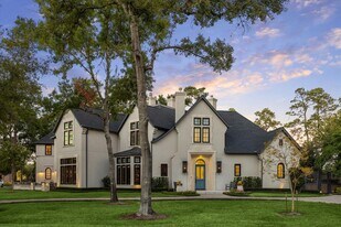 20 Lacewood Ln in Houston, TX - Building Photo