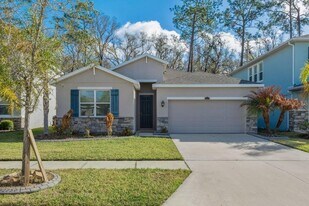 32959 Sand Creek Dr in Wesley Chapel, FL - Building Photo