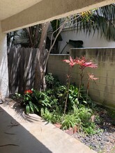 1804 Pullman Ln in Redondo Beach, CA - Building Photo - Building Photo