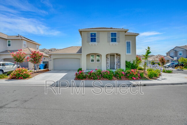 567 Datura Dr in Vacaville, CA - Building Photo - Building Photo