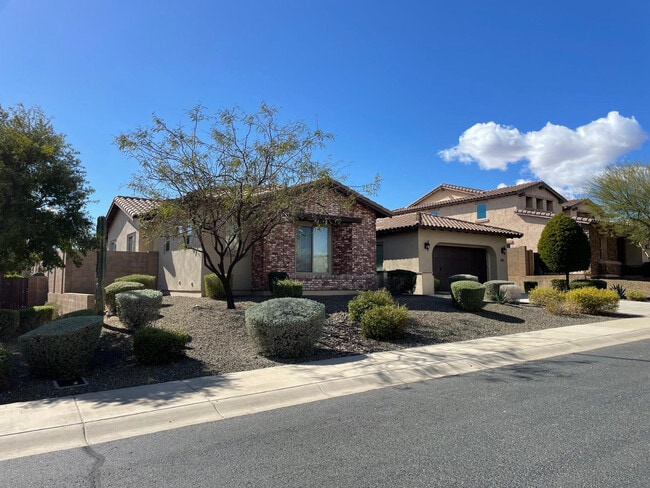31264 N 133rd Ln in Peoria, AZ - Building Photo - Building Photo