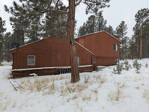 879 Tincup Terrace in Bailey, CO - Building Photo - Building Photo