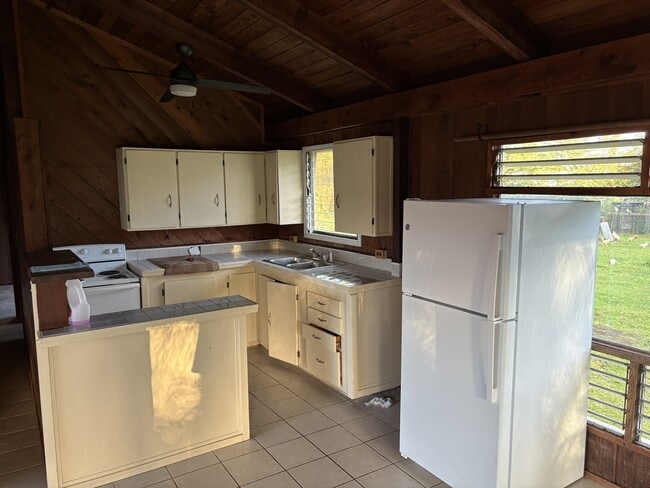 16-2065-2065 Lauhala Dr in Pahoa, HI - Building Photo - Building Photo