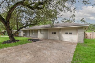 1509 N San Jacinto St in Conroe, TX - Building Photo