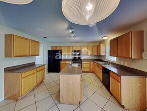 17003 Odessa Dr in Land O Lakes, FL - Building Photo - Building Photo
