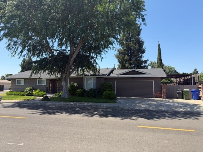 property at 425 Corello St