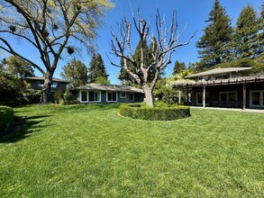 1701 Zinfandel Ln in St Helena, CA - Building Photo - Building Photo