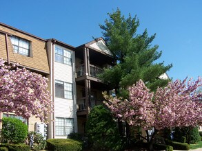 Woodbridge Center Plaza in Woodbridge, NJ - Building Photo - Building Photo