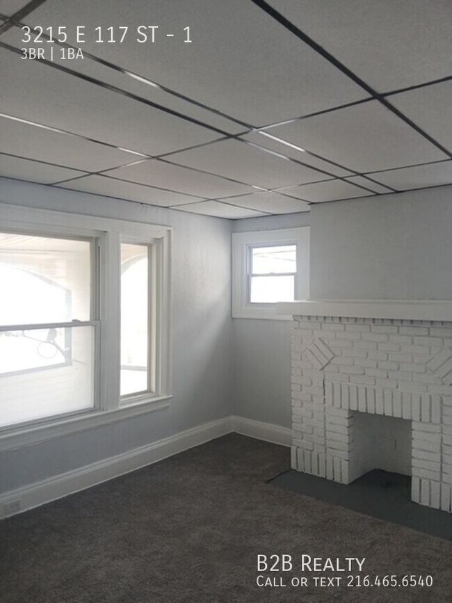 3215 E 117th St in Cleveland, OH - Building Photo - Building Photo