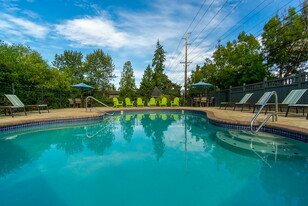 Wandering Creek Apartments