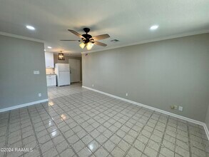 305 Alice Dr in Lafayette, LA - Foto de edificio - Building Photo