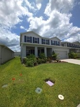 18234 Falling Pine Needle Ln in Land O Lakes, FL - Building Photo - Building Photo